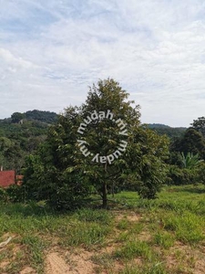 Keru, Tampin Roadside Durian Land for Sale