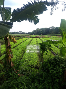 Malaysia, Selangor, Johan Setia Klang 1.0 Acre Agriculture ( Zoning Residential ) Land for Sale