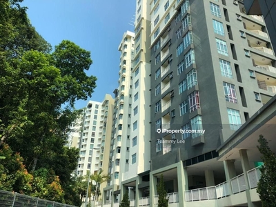 2sty Penthouse 4915sf Subang Olives , Subang Jaya Condo, 4 Car Parks
