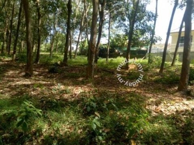 Durian Tunggal, 7.175 acres freehold A.land for sale