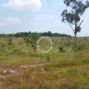 Durian Tunggal, Freehold main road 11 acres Agriculture land for sale