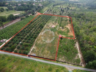 Tanah Pertanian Kampung Tehel Bemban Melaka