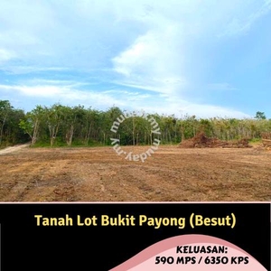 Tanah Berdekatan Kediaman dan Jalan Utama Bukit Payong