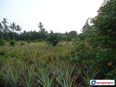 Agricultural Land for sale in Batu Pahat