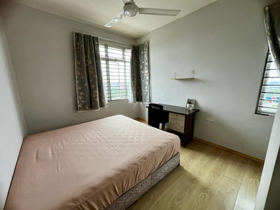 Larkin Female house Master bedroom for rent