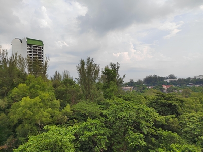 Ferringhi Delima Condominium