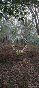 2 Ekar Tanah Pokok Getah Bukit Tanah Merah Segamat Johor