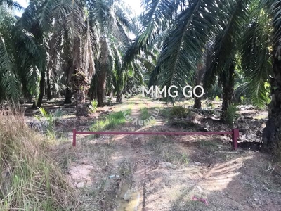 2.437 acres Kuala selangor Argiculture Land for sale