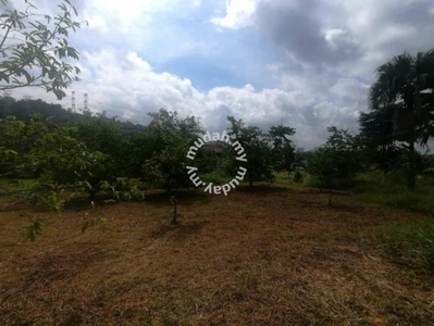 4.66 Acre Freehold NON BUMI Agriculture Land Jenderam Hulu