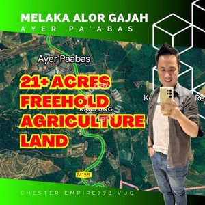 Freehold Agriculture Land at Alor Gajah Ayer Pa'abas near Masjid Tanah