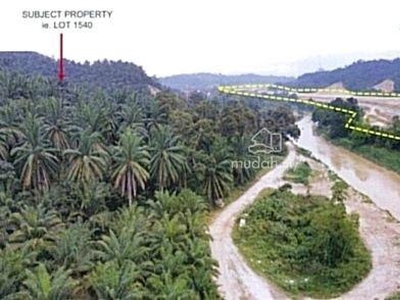 Selangor Sepang 64 Acres Zoning Residential Land for SALE ‼️