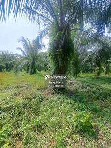 Land for Sale Kapar Batu 14 25.8 Acres Agriculture Land for Sale