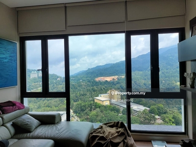 Freehold Fully Furnished Condo