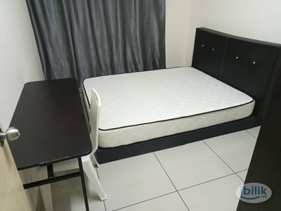 Full Furnitured Medium Room Oug Parklane