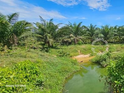 Freehold Palm oil land at Temoh,Kampar Perak