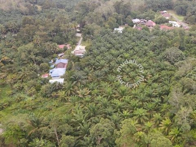 Main road land, 6 acres rubber tree land, Freehold