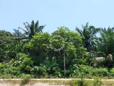Agriculture land Pasir Panjang Linggi Port Diskson SIZE 2.94 acre