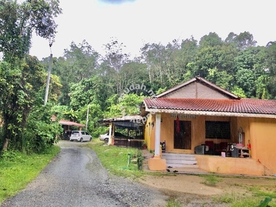 Rumah 3 Buah Tanah 1.2 Ekar Ada Durian Bandar Jeli Selot Highway