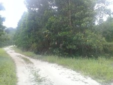 Lot Banglo Dusun Tuan Hulu Langat