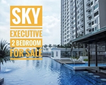 The Sky Executive for sale