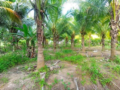 3 Unit Tanah Taman Dan Rumah Di Mukim Chuping Perlis.