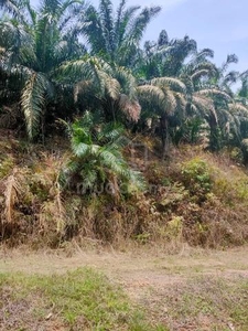 Agricultural Land Besides Main Road 6.57 acres Karak Bentong Pahang