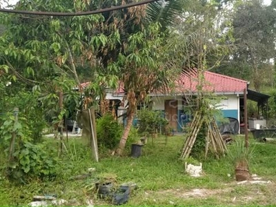 Dusun 2 Ekar beserta rumah untuk dijual murah