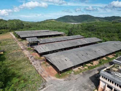Flat Land, 28 Ekar Tanah Industri Pulau Sebang, Alor Gajah, FREEHOLD