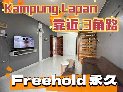 Freehold Kampung Lapan Kenanga Mewah Apartment Furnished & Renovated