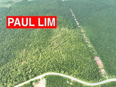 LAND SALE 5 MIN To KUALA KETUL TOWN AGRICULTURAL LAND MAIN ROAD