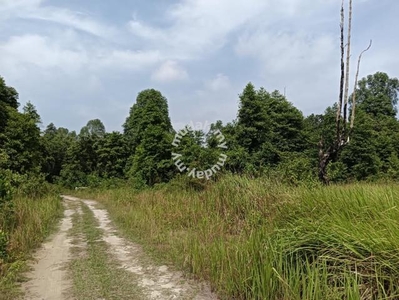 Tanah 2 Ekar Untuk Dijual Di Sungai Soi Berdekatan Jalan Utama Kuantan
