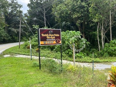 Tanah Dusun NON BUMI Periang Kuala Kangsar