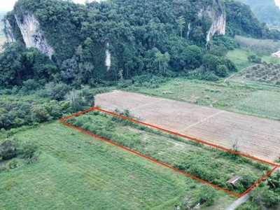Tanah Kg Sesuai Dijadikan Kebun, Dusun Dan Sebagainya Di Bukit Kedak