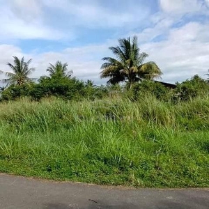 Tanah Lot Geran Padang Siding, Pauh