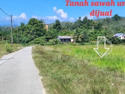 Tanah sawah padi cantik di Kg Kederang Permaisuri Setiu Terengganu
