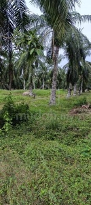 Tanah sawit kg sg yu Kuala Selangor geran individu untuk di jual
