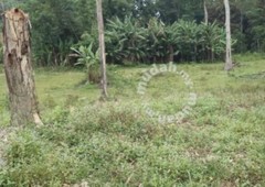 Freehold Tapah Agriculture Land almost 5 acre for SALE
