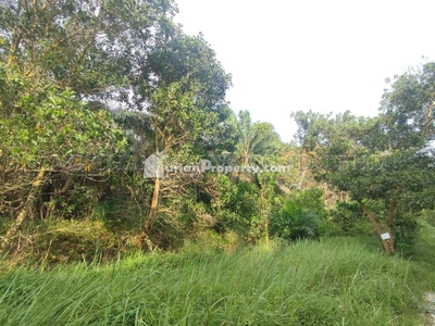 Agriculture Land For Auction at Sitiawan