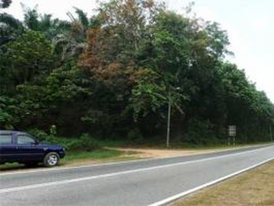 Orchard Farm Land with Pond For Sale Malaysia