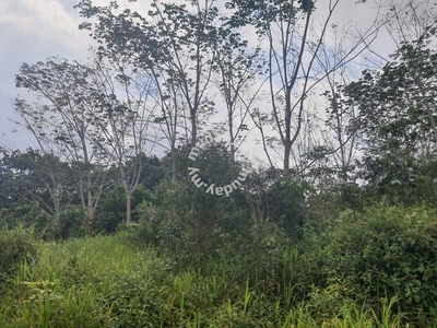 FREEHOLD Non Bumi Lot 8 acre Land at Jemaluang, Mersing [CHEAP]