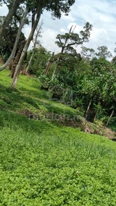 Semenyih Broga Agriculture Freehold Land
