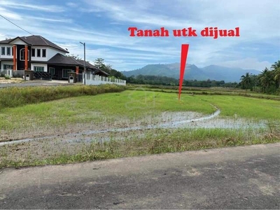 Tanah Bendang Untuk Dijual Kg. Langsat, Changlun, Kedah