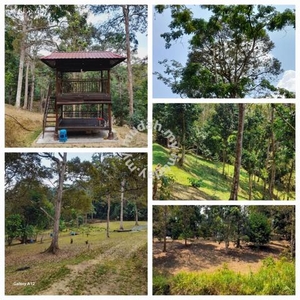 Tanah Dusun Buahan Terachi Kuala Pilah