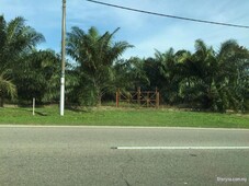 Palm Oil Land Tehel Melaka
