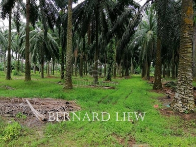 37ac Changkat Industrial Zoning Oil Plantation FOR SALE