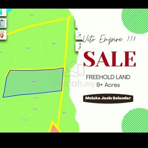 Freehold Agriculture Land 9+ Acres at Selandar