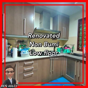Renovated / Furnished / Low floor / Non bumi