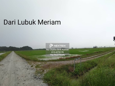 Tanah Bendang di Sungai Meriam, Kota Kuala Muda, Kedah.