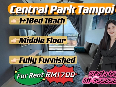 Central Park Tampoi 1+1BR Fully Furnish