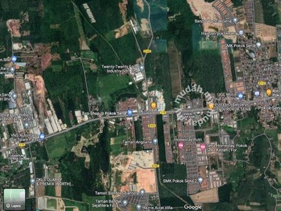 Pokok Sena Agriculture Land For Sale Kedah Alor Setar